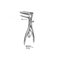 Intestines, Stomach, Rectum